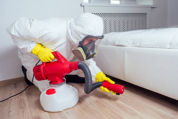 Best Local Pest Control Services  in Jonesville, MI